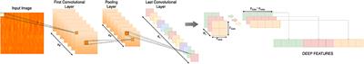 Bi-Dimensional Approach Based on Transfer Learning for Alcoholism Pre-disposition Classification via EEG Signals